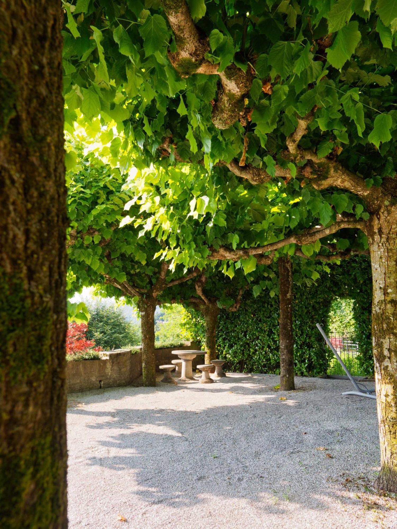 Panoramic Lakeview House Bellagio Civenna エクステリア 写真